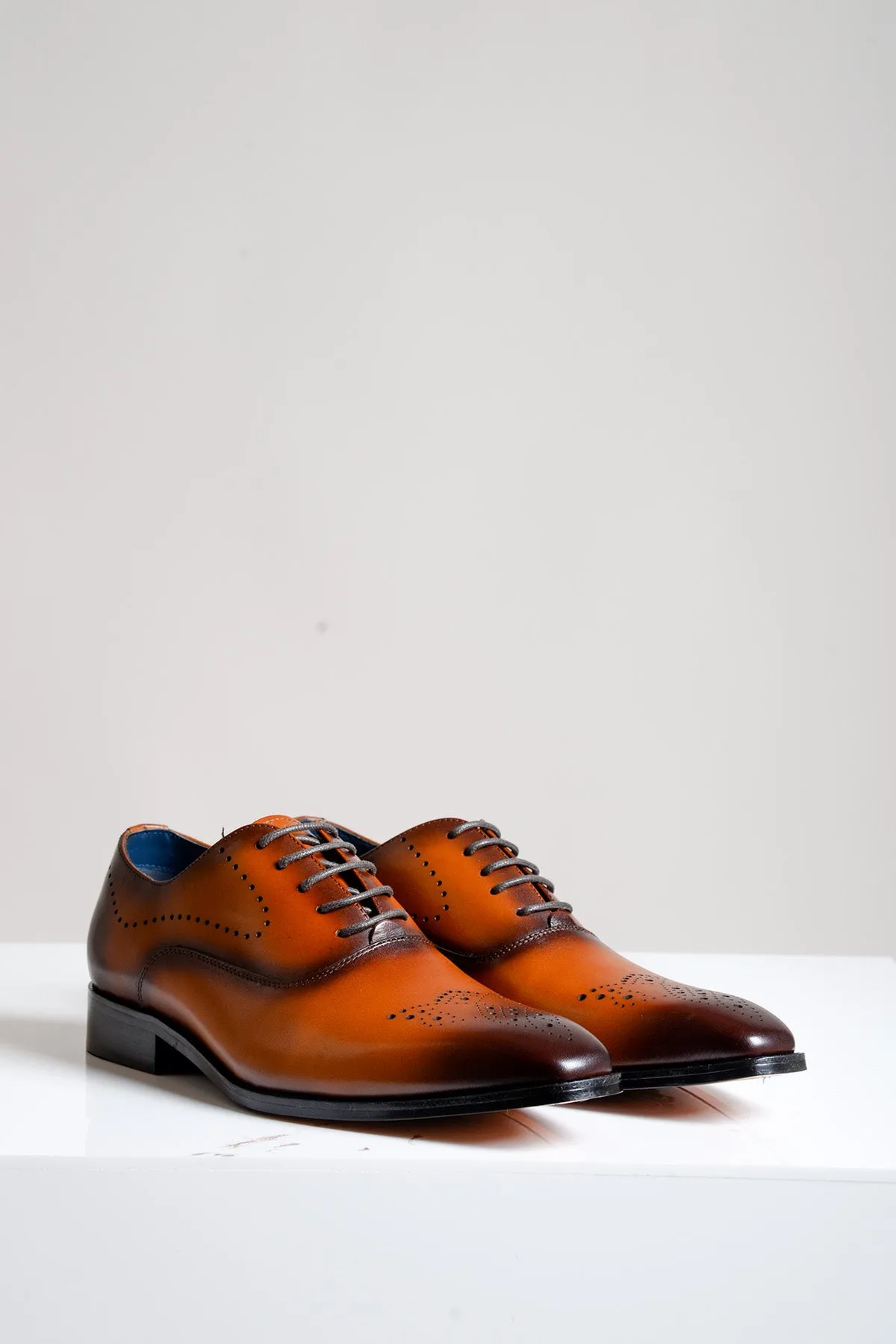 JAKE - Tan Leather Contrast Oxford Shoe